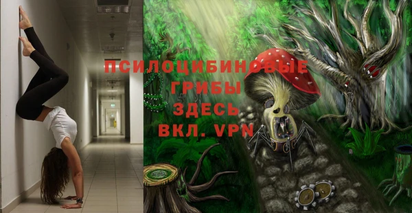 spice Балабаново