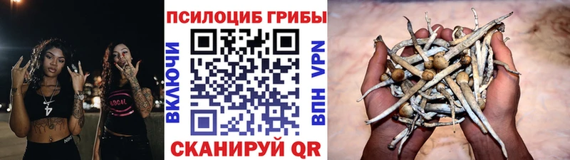 Галлюциногенные грибы мухоморы  Гулькевичи 