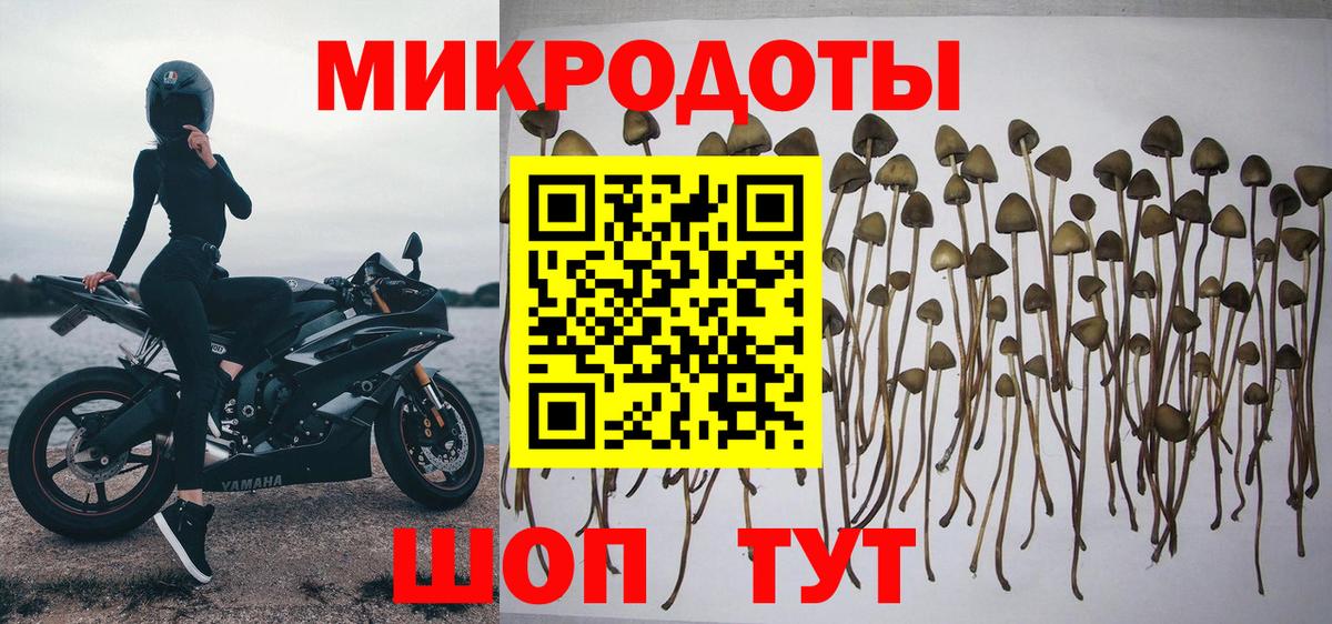 Галлюциногенные грибы Magic Shrooms  Вход с VPN  Гулькевичи 